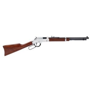 HENRY GOLDEN BOY SILVER 22LR CMPT